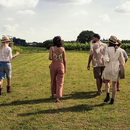 הוילה קסטלנואובו דל גארדה Agriturismo I Mischi מראה חיצוני תמונה